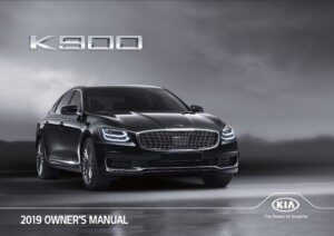 2019 kia k900 owner manual