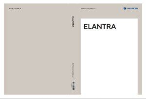 2021 hyundai elantra owner manual