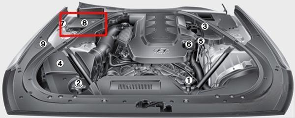 hyundai genesis 2014 2016 fuse layout 5 2024 12 19 14 56 23