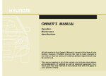 2017 hyundai santa fe owner manual